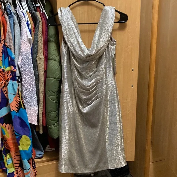 Tahari ASL | Dresses | Nwt Silver Powder Tahari Dress | Poshmark